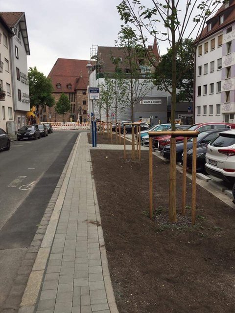 Bürgermeister Christian Vogel hat Nürnbergs neue Baumbeauftragte am Heugäßchen vorgestellt, wo gerade eine frische Baumreihe angelegt wurde.