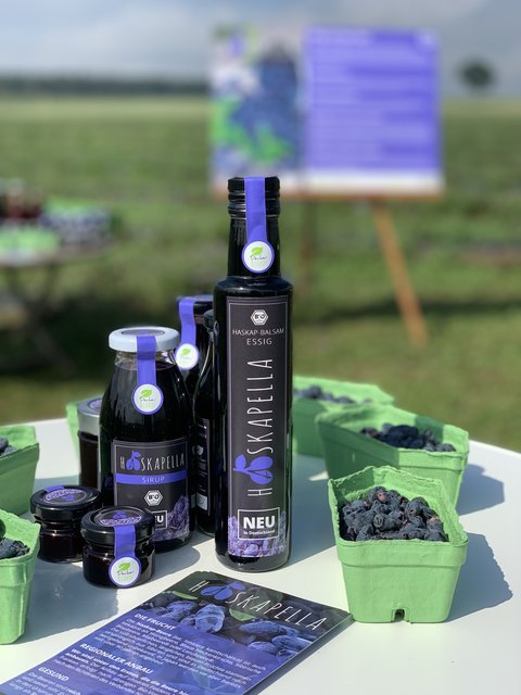 Superfood aus dem Landkreis: die Verwendungsmöglichkeiten der wohlschmeckenden „blauen Heckenkirsche“ sind vielseitig.
