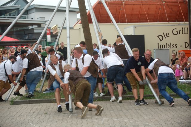 Schwerstarbeit beim Baumaufstellen, die Kärwaburschen legen sich voll ins Zeug.