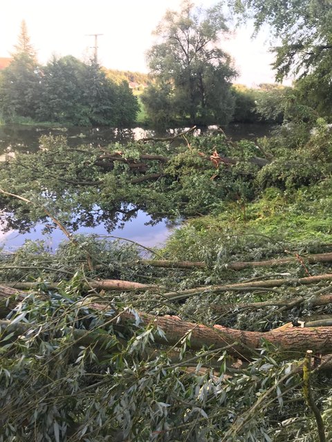 Erschreckende Bilder erreichten die MarktSpiegel-Redaktion aus Roth-Büchenbach.  | Foto: Fabian Aust