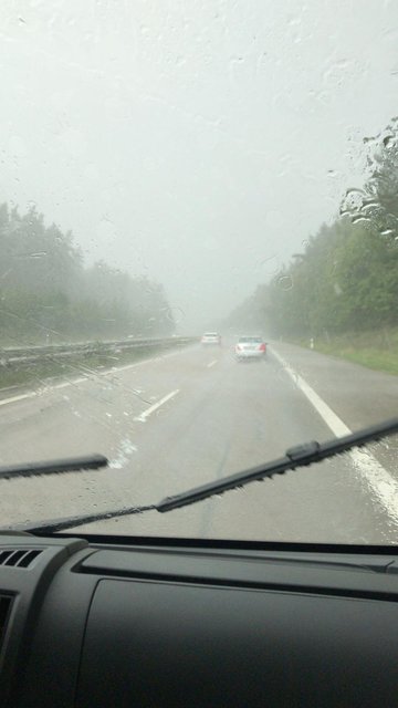 Erschreckende Bilder erreichten die MarktSpiegel-Redaktion aus Roth-Büchenbach.  | Foto: Fabian Aust