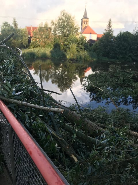 Erschreckende Bilder erreichten die MarktSpiegel-Redaktion aus Roth-Büchenbach.  | Foto: Fabian Aust