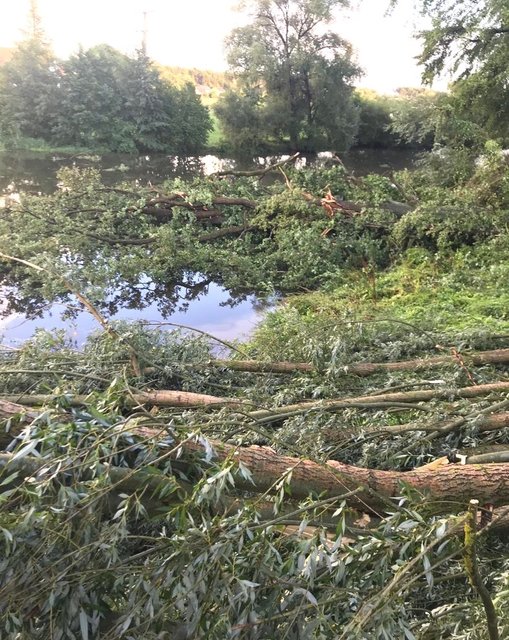 Erschreckende Bilder erreichten die MarktSpiegel-Redaktion aus Roth-Büchenbach.  | Foto: Fabian Aust