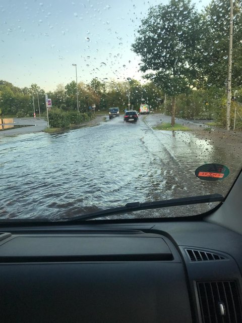 Erschreckende Bilder erreichten die MarktSpiegel-Redaktion aus Roth-Büchenbach.  | Foto: Fabian Aust