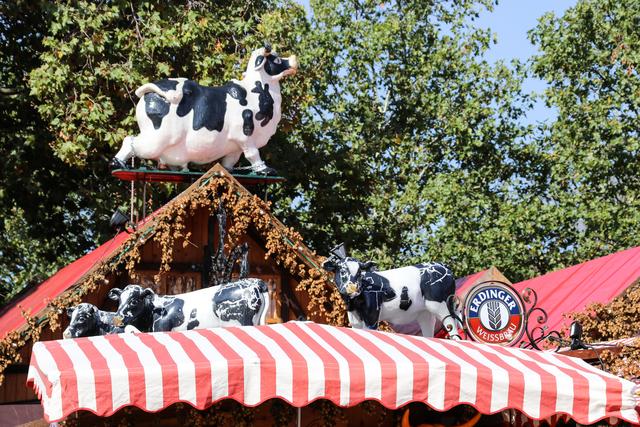 Foto: Nicole Fuchsbauer