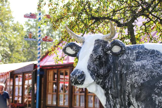 Es ist Kult und bleibt Kult: Das 49. Altstadtfest beginnt am kommenden Mittwoch.  | Foto: Nicole Fuchsbauer