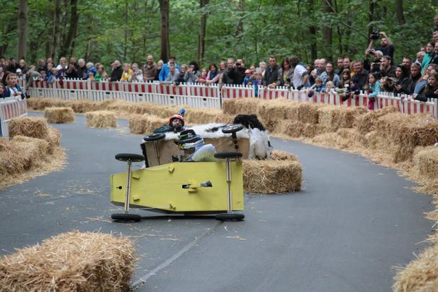 Auch der eine oder andere Crash kommt vor... In der Regel geht's aber glimpflich aus. | Foto: Agentur 1Agency / oh