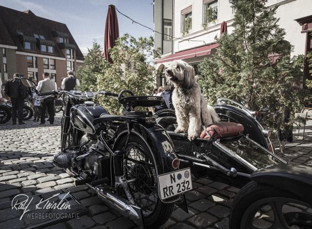 Foto: Ralf Kleinlein