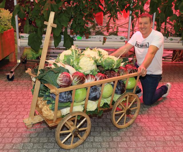 Erster Rundgang auf der Consumenta 2019. | Foto: Udo Dreier