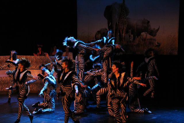 Der Schautanz der als Zebras verkleideten Prinzengarde passt perfekt zum Motto der aktuellen Session "RCV auf Safari". | Foto: Thomas Haase/RCV