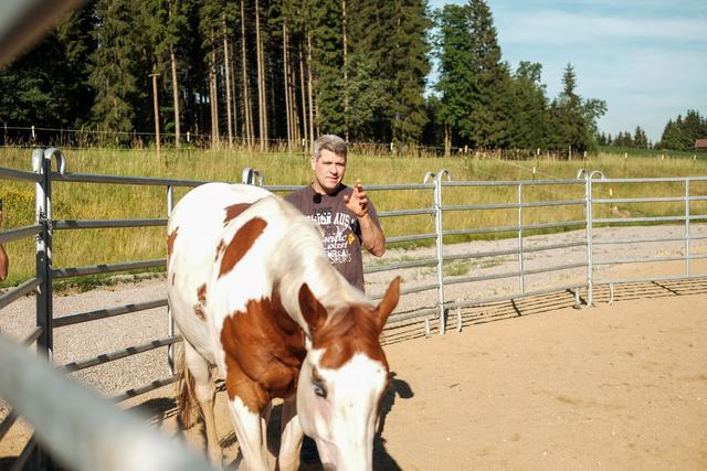 Bernd Hackl und Wallach ,,Indio"  | Foto: TVNOW / Mina TV