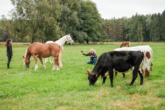 Katja Schnabel (r.) mit dem Knabstrupper ,,Kajwer". | Foto: TVNOW / Mina TV