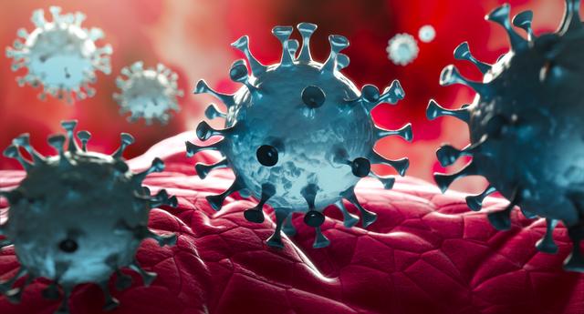 Coronavirus im Inneren des Körpers.