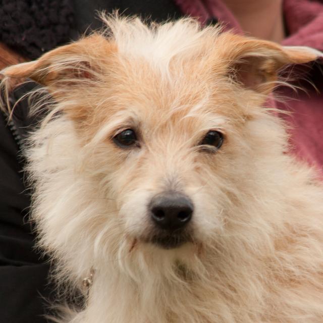 Ticco liebt auch ausgefallene Speisen. | Foto: Tierhilfe Franken