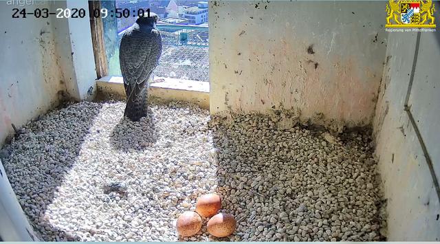 Warten auf die Ablösung. | Foto: Regierung von Mittelfranken