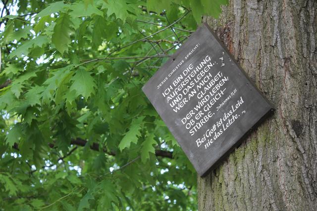 Gesehen am Rande des Frühlingsfestes 2019 an einem Baum gegenüber des Eingangs bei der ehemaligen Stadthalle.