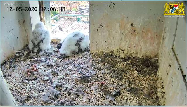 Die beiden Mädels genießen die Mittagssonne. | Foto: Regierung von Mittelfranken