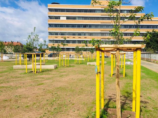 16 Obstbäume im neuen Quelle-Park: Übergabe an die engagierten Baumpaten.  | Foto: oh