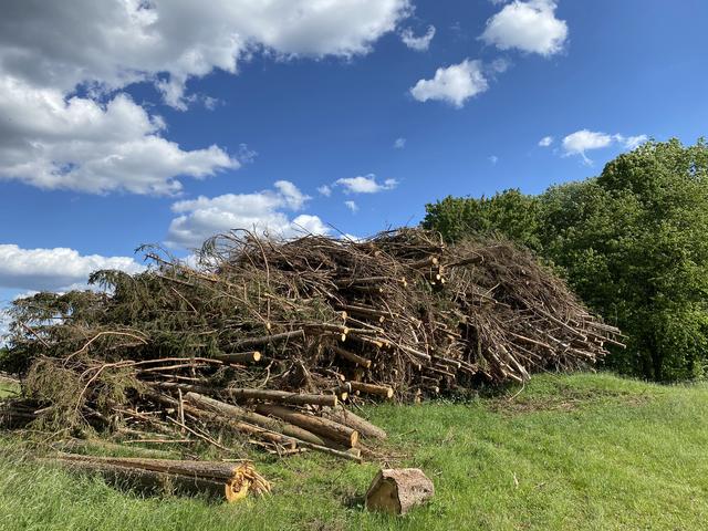 Hier lagert am Ortsrand von Hohenpölz ein Teil des Schadholzes.  | Foto: Nicole Fuchsbauer