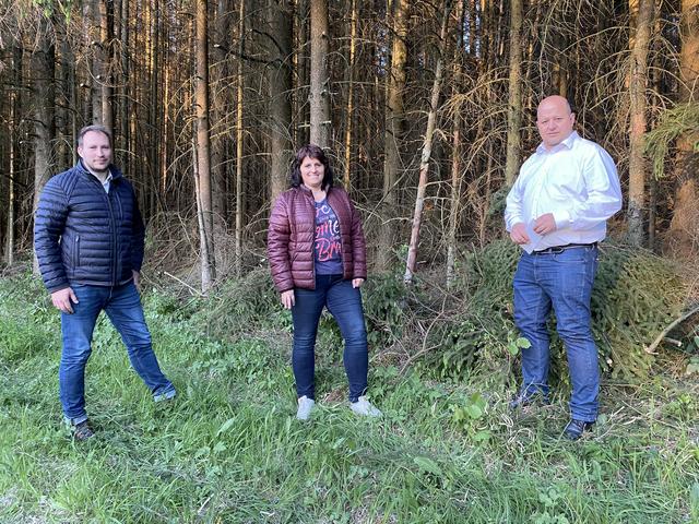 Ortstermin vor einem vom Borkenkäfer befallenen Waldstück (v.l.) 1. Bürgermeister von Heiligenstadt Stefan Reichold, Initiatorin Carmen Först und MdL Holger Dremel.