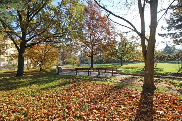 Marie-Juchacz-Park wieder geöffnet. | Foto: Gerwin Gruber / Sör / Stadt Nürnberg