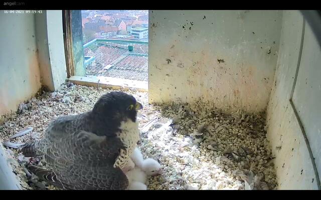 Momentaufnahme vom 16. April. | Foto: Regierung von Mittelfranken