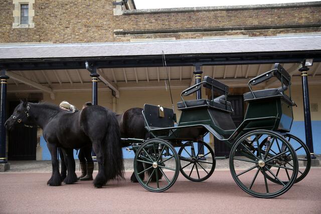 Die Kutsche des britischen Prinzen Philip, den Herzog von Edinburgh, und seine beiden Fellponys mit den Namen Balmoral Nevis und Notlaw Storm vor Schloss Windsor.  | Foto: Steve Parsons/pool PA/AP/dpa