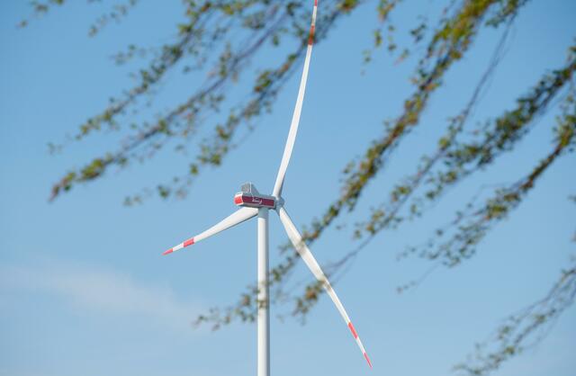 Foto: Sebastian Willnow/dpa-Zentralbild/dpa/Symbolbild