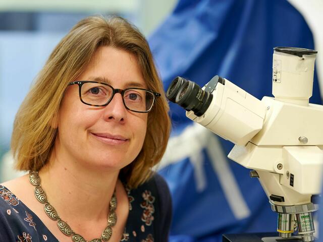 Privatdozentin Dr. Claudia Denkinger, Leiterin der Sektion Klinische Tropenmedizin am Zentrum für Infektiologie am Universitätsklinikum Heidelberg.