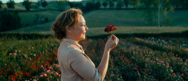 Sie war der Stern am Rosenhimmel. Nun muss sich Eve (Catherine Frot) gegen die Massenzüchterei behaupten – und kommt auf eine äußerst verwegene Idee ... | Foto: © Neue Visionen Filmverleih