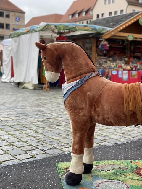 Nürnberger Herbstmarkt 2021. | Foto: Nicole Fuchsbauer