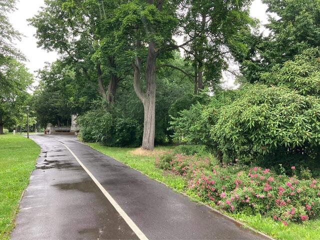 Bürgerbeteiligung für die Sanierung des Nürnberger Stadtparkes.  | Foto: Stadt Nürnberg