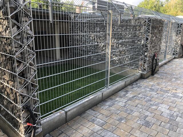 Foto: Tierheim Nürnberg