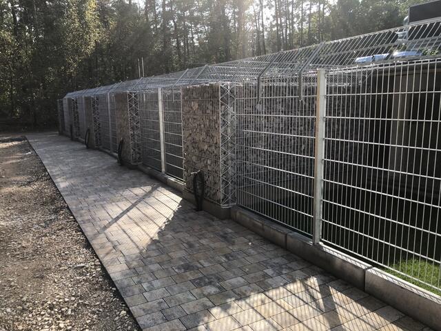 Foto: Tierheim Nürnberg