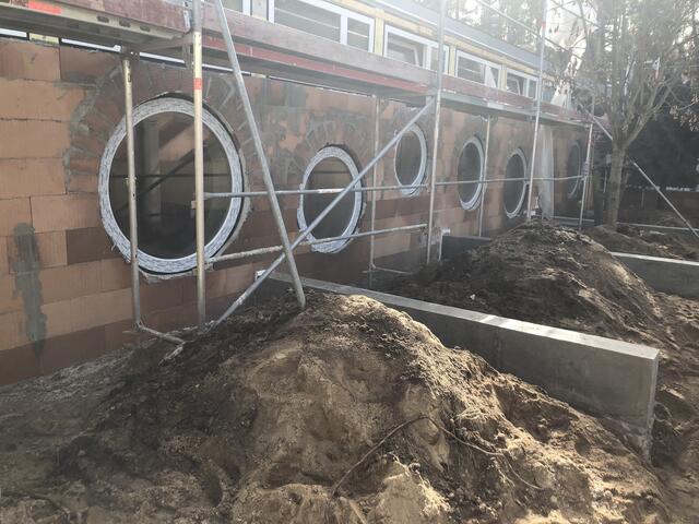 Foto: Tierheim Nürnberg