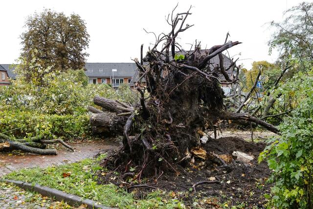 Schäden durch einen Tornado. In Klausdorf, einem Stadtteil von Schwentinental bei Kiel, hat ein Tornado schwere Schäden verursacht.