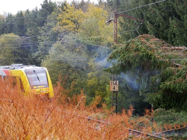 Bei Rudersdorf in Nordrhein-Westfalen sind mehrere Fichten sind auf die Stromleitungen der Bahnstrecke zwischen Siegen und Dillenburg gefallen.