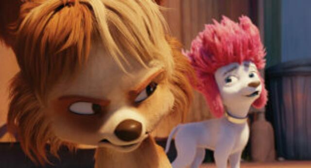 100% Wolf - Auf DVD und Blu-ray. | Foto: © 2021 Constantin Film Verleih GmbH