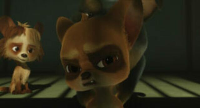 100% Wolf - Auf DVD und Blu-ray. | Foto: © 2021 Constantin Film Verleih GmbH