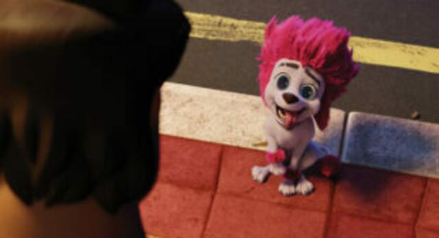 100% Wolf - Auf DVD und Blu-ray. | Foto: © 2021 Constantin Film Verleih GmbH