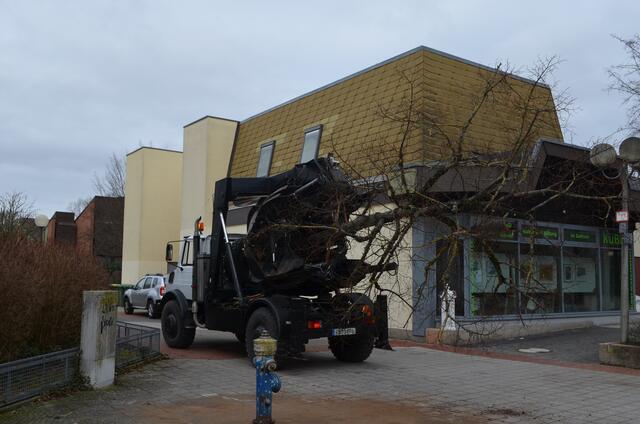 Die Linde ist transportbereit ... | Foto: © Stadt Oberasbach