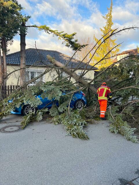 Ein umgeknickter Baum liegt über einem Auto.  | Foto: Feuerwehr Germering/dpa