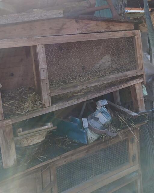 Seit vielen Jahren mussten sie ihr Leben in katastrophaler Haltung fristen. Missbraucht als Zuchtmaschinen, um mit den Babys Geld zu machen. | Foto: Tierheim Nürnberg