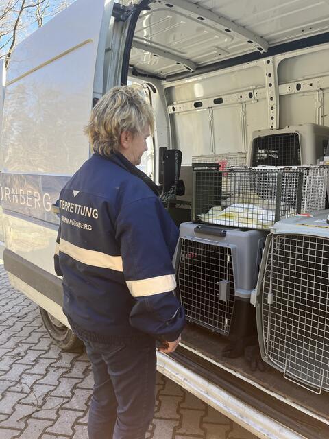 Foto: Tierheim Nürnberg