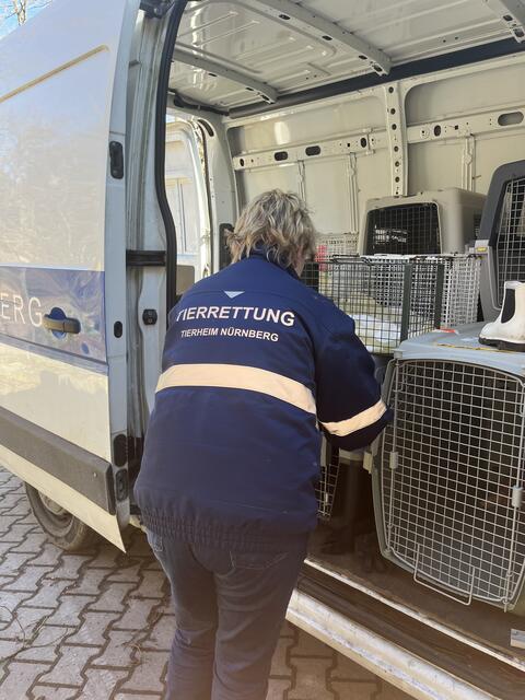 Foto: Tierheim Nürnberg