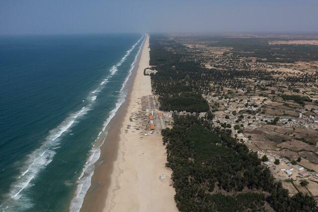 Filao-Bäume, die gepflanzt wurden, um die Küstenerosion entlang des Atlantiks zu verlangsamen, bilden im Dorf Lompoul in der Nähe von Kebemer (Senegal), einen «Vorhang», der den Beginn der Grünen Mauer schützt.