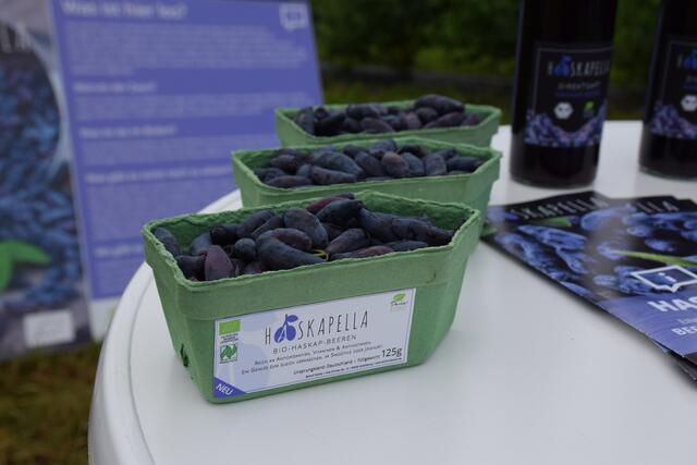 Innovationspreis für Haskap-Produkte aus dem Landkreis: die Verwendungsmöglichkeiten der wohlschmeckenden „blauen Heckenkirsche“ sind vielseitig.