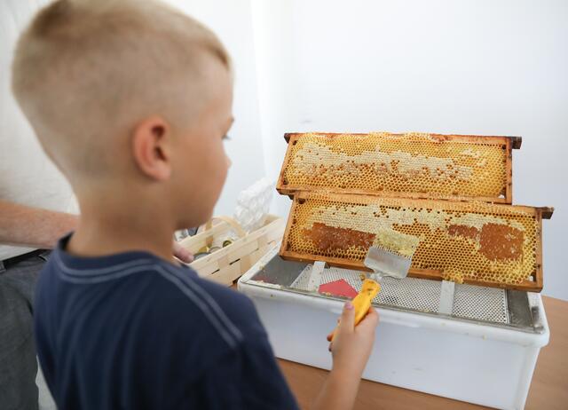 Imkerseminar mit ,,Bienenhüter" Marc Schüller bei den SELLWERK-Bienen.  | Foto: Nicole Fuchsbauer