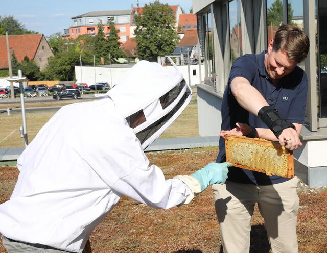 Imkerseminar mit ,,Bienenhüter" Marc Schüller bei den SELLWERK-Bienen.  | Foto: Nicole Fuchsbauer