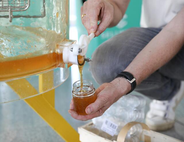 Imkerseminar mit ,,Bienenhüter" Marc Schüller bei den SELLWERK-Bienen.  | Foto: Nicole Fuchsbauer